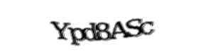 Security check image, please type the characters shown